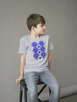 Детская футболка серая с синей вышивкой "Ярыла"